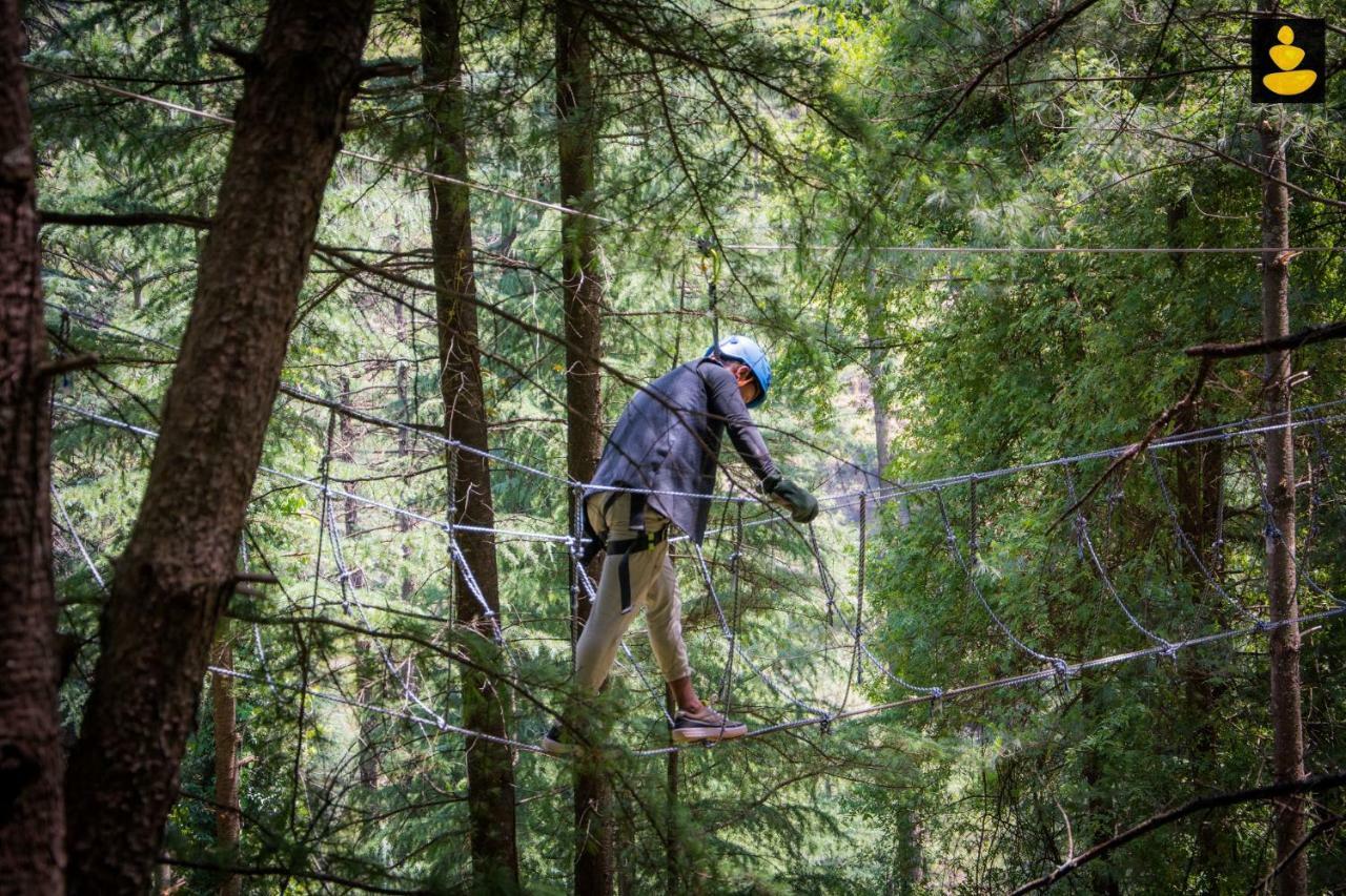 Livingstone Ojuven Treehouses * Shimla