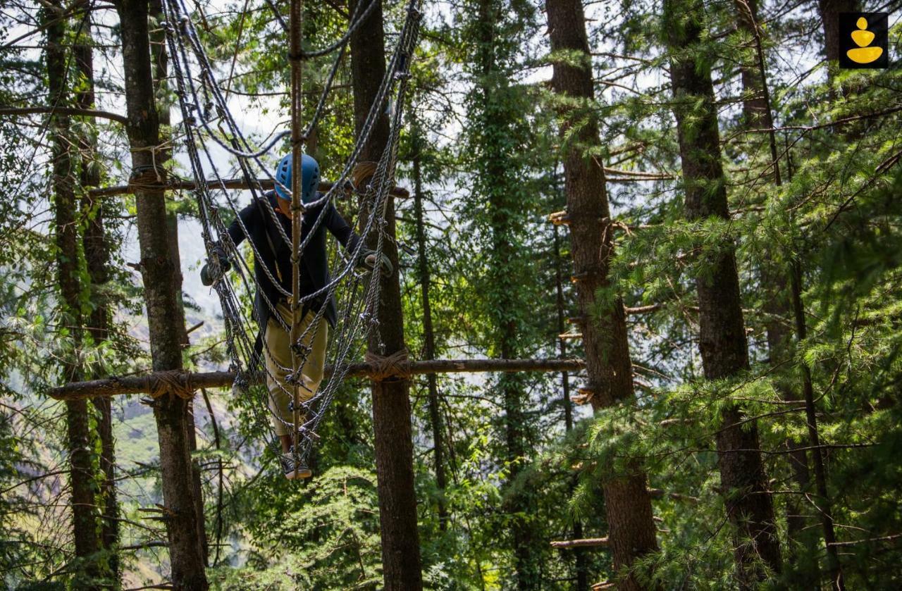Livingstone Ojuven Treehouses * Shimla