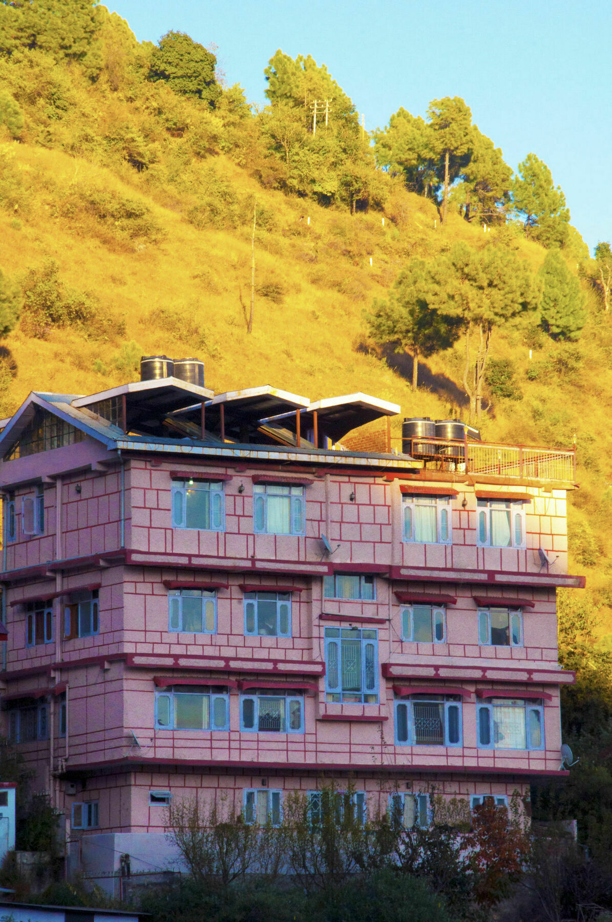 Homestay Oyo 14106 Exotic Hill View Shoghi Shimla