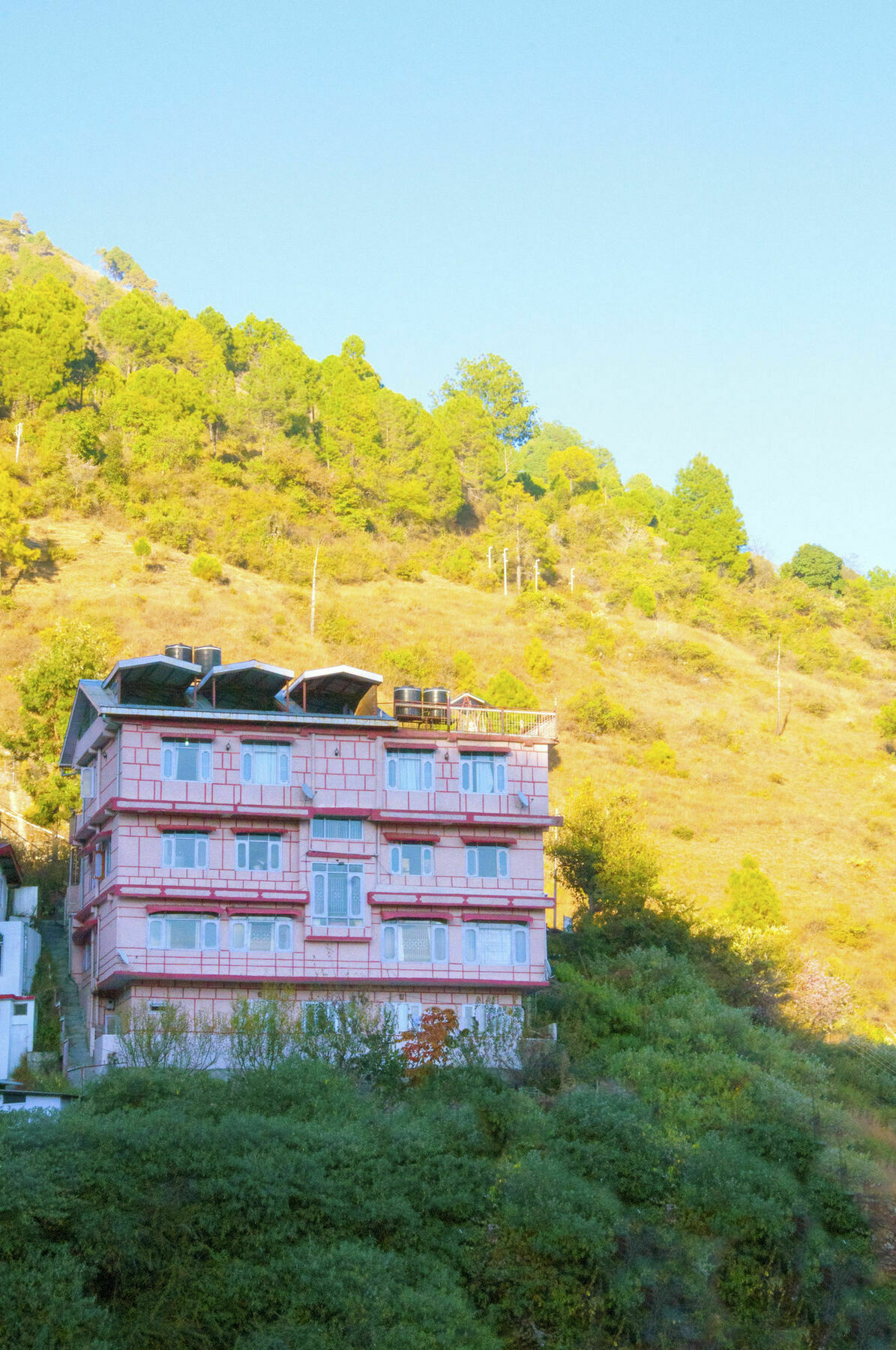 Oyo 14106 Exotic Hill View Shoghi * Shimla