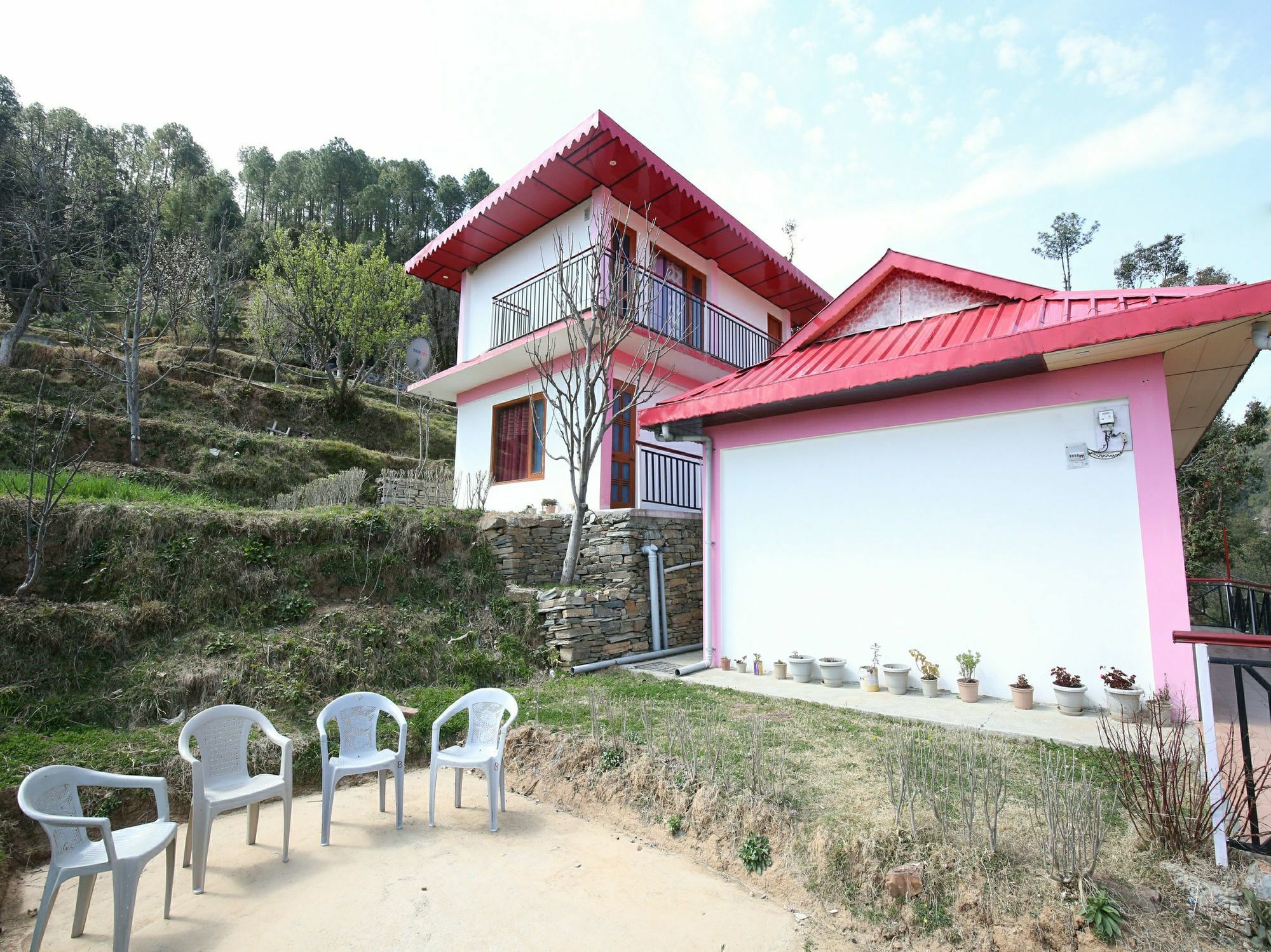 Oyo 12215 1rk Exotic Valley View Chail *