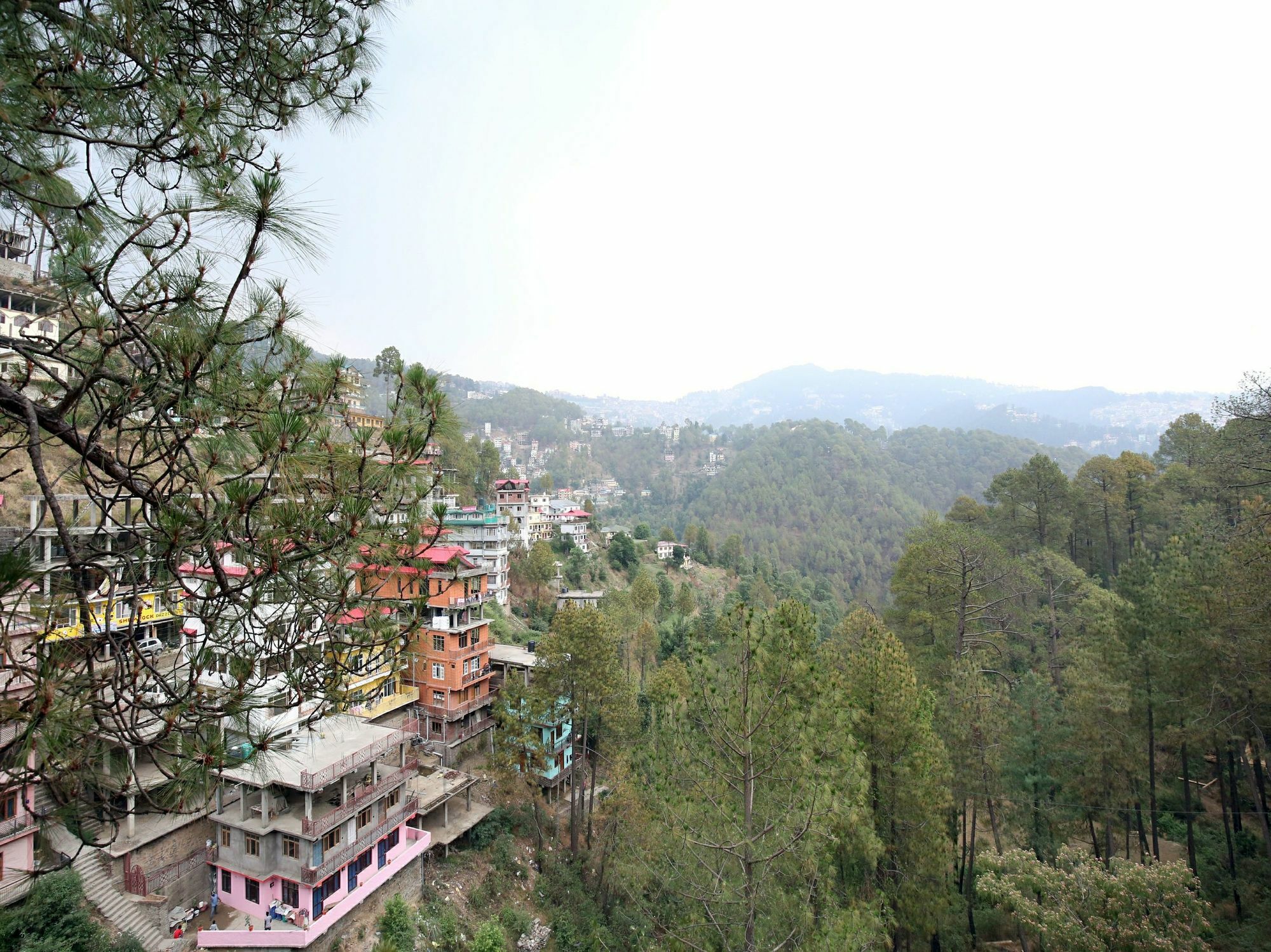 Oyo 14365 Modern Oak Apertement 2bhk Kachighati Shimla