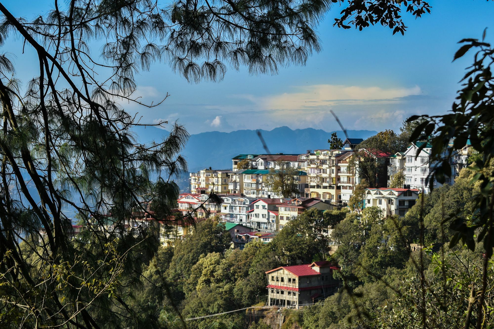 Dhanlakshmi 3* Shimla