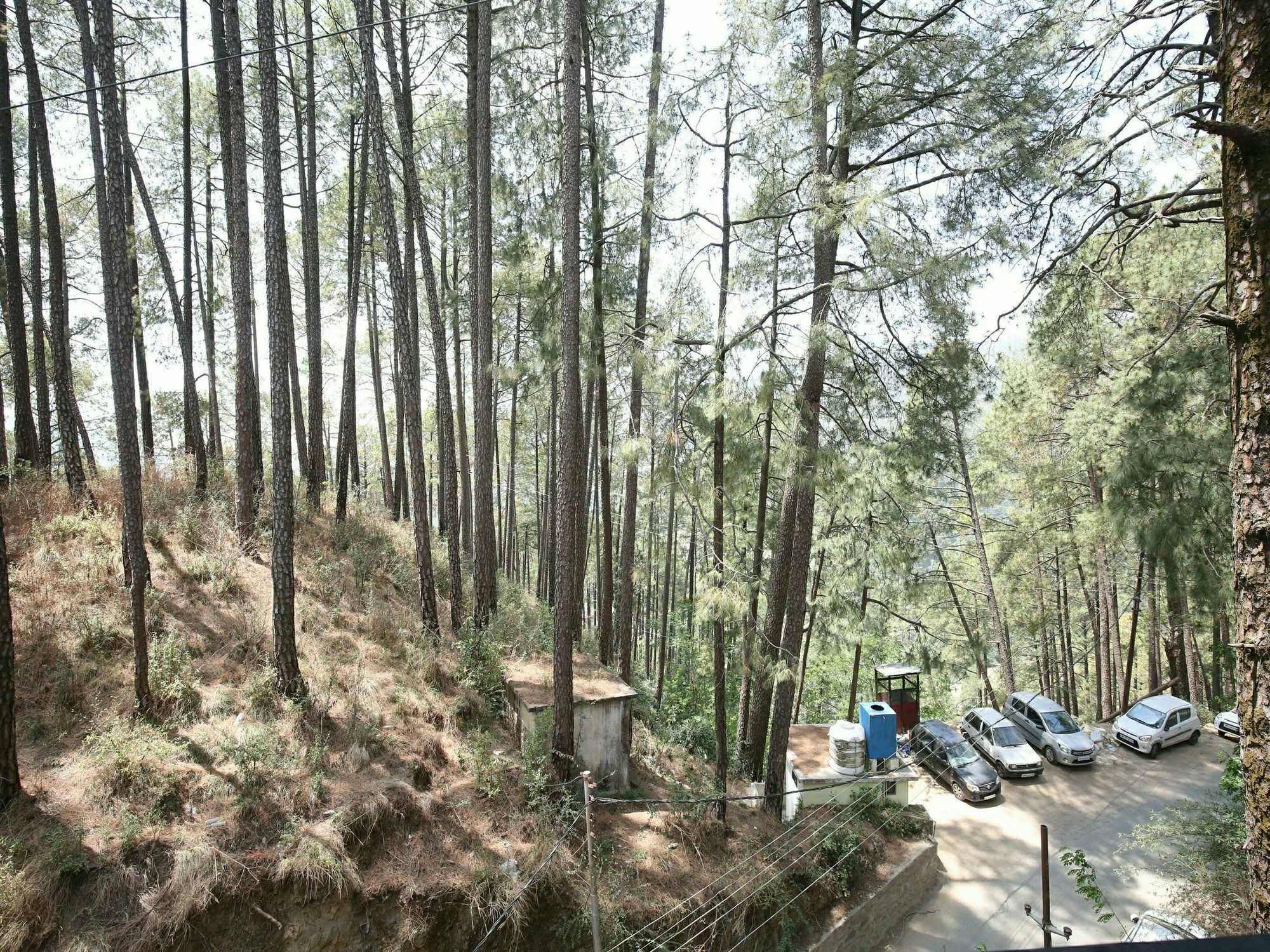 Apartment Oyo 13618 2bhk The Mystique Loft Tuttikandi *