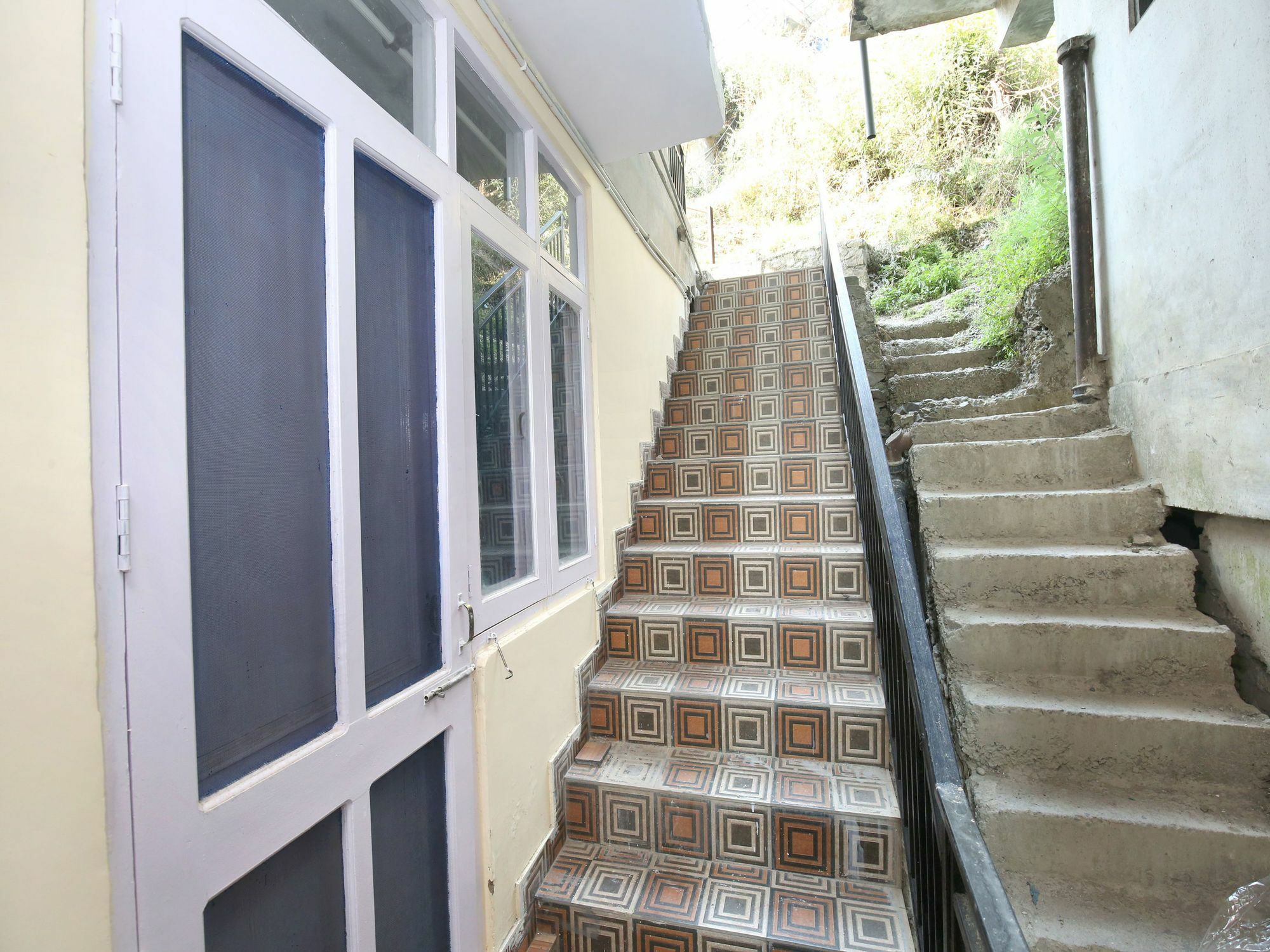 Apartment Pine Forest View 1rk In Bharari