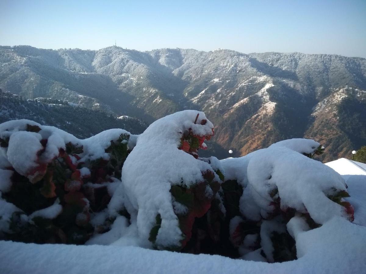 Spangle Heights Shimla, And Residences Resort 4*