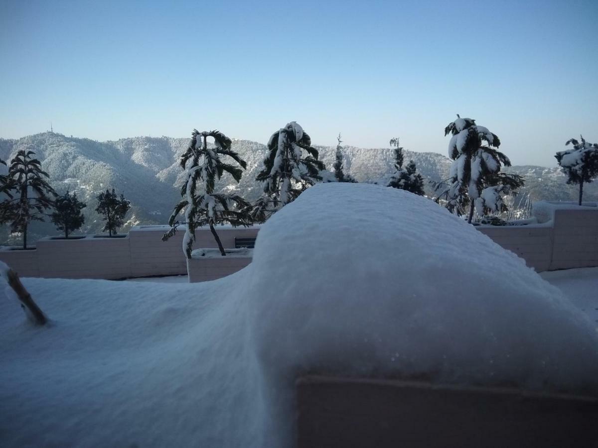 Resort Spangle Heights Shimla, And Residences