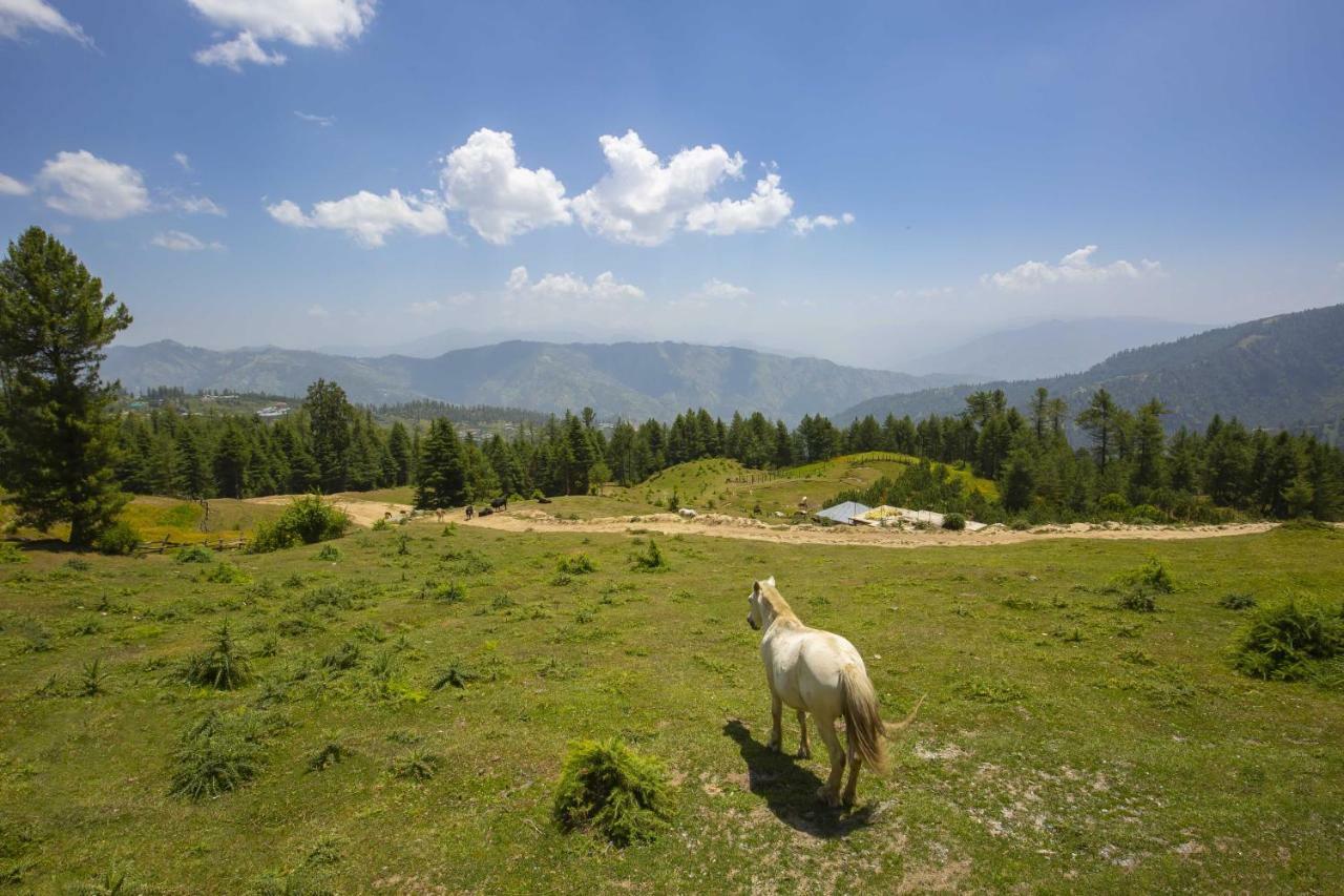 Zostel Homes Kotkhai Shimla