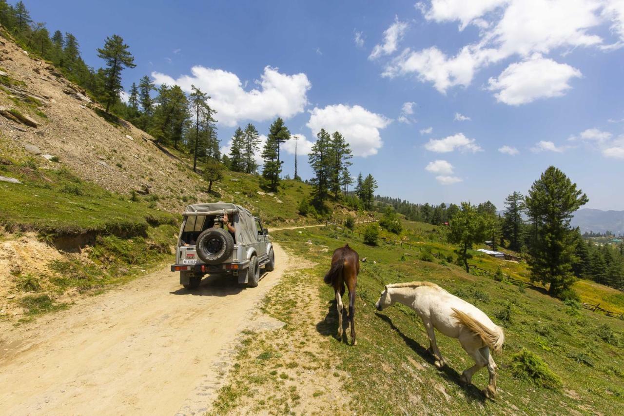 Zostel Homes Kotkhai Shimla