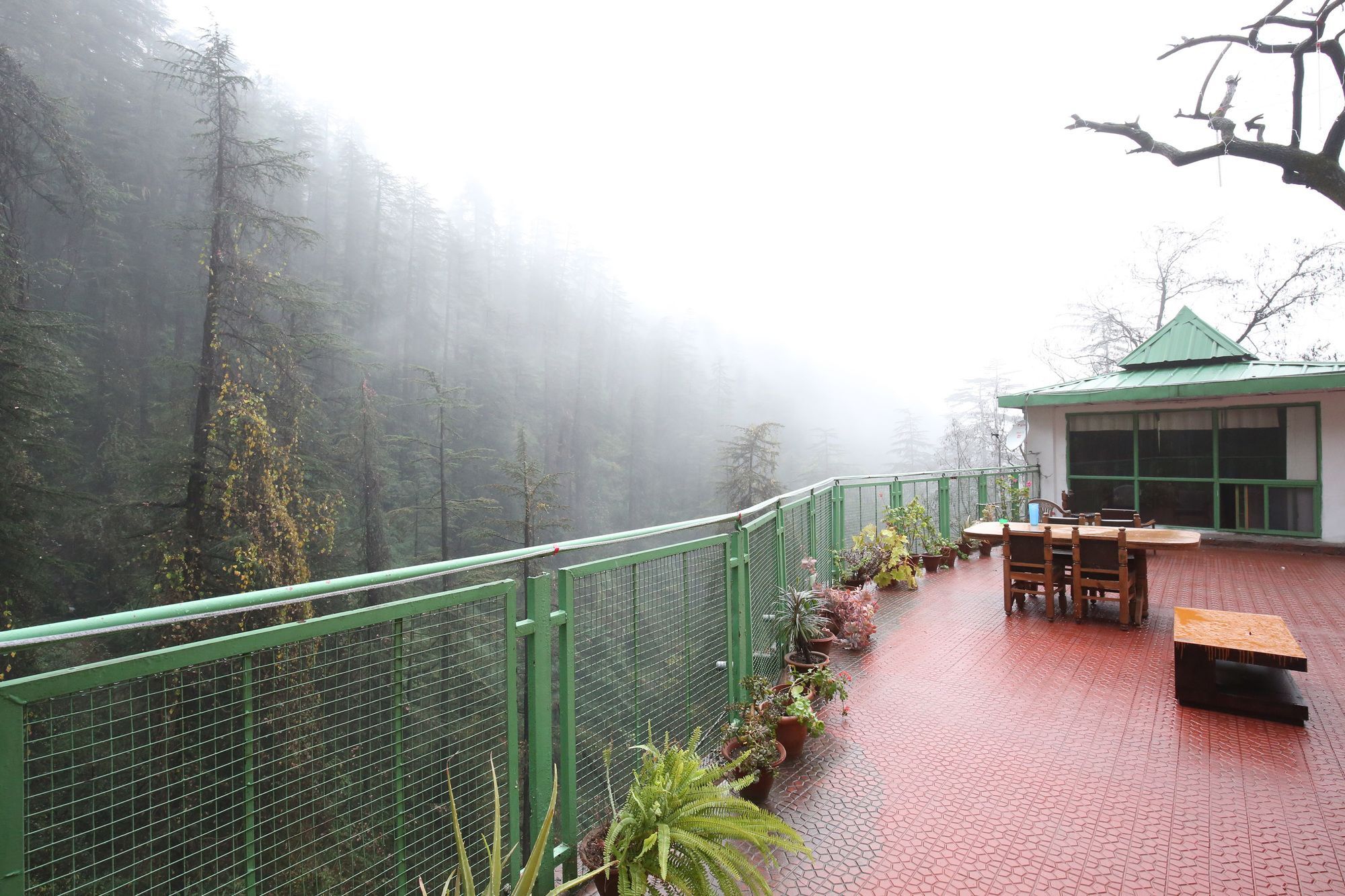 Hotel Oyo 10904 Sunny Woods Khalini 2*