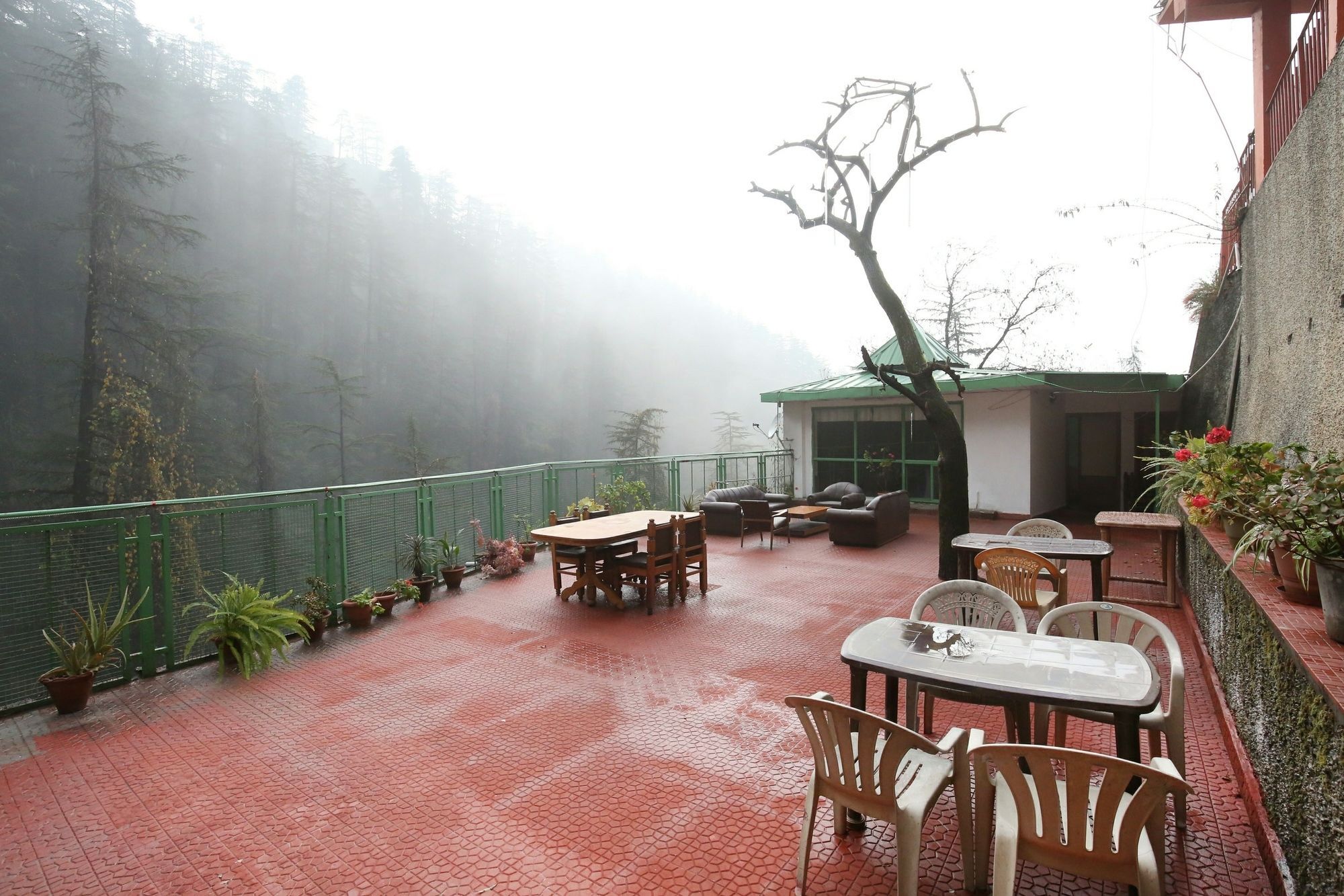 Hotel Oyo 10904 Sunny Woods Khalini Shimla
