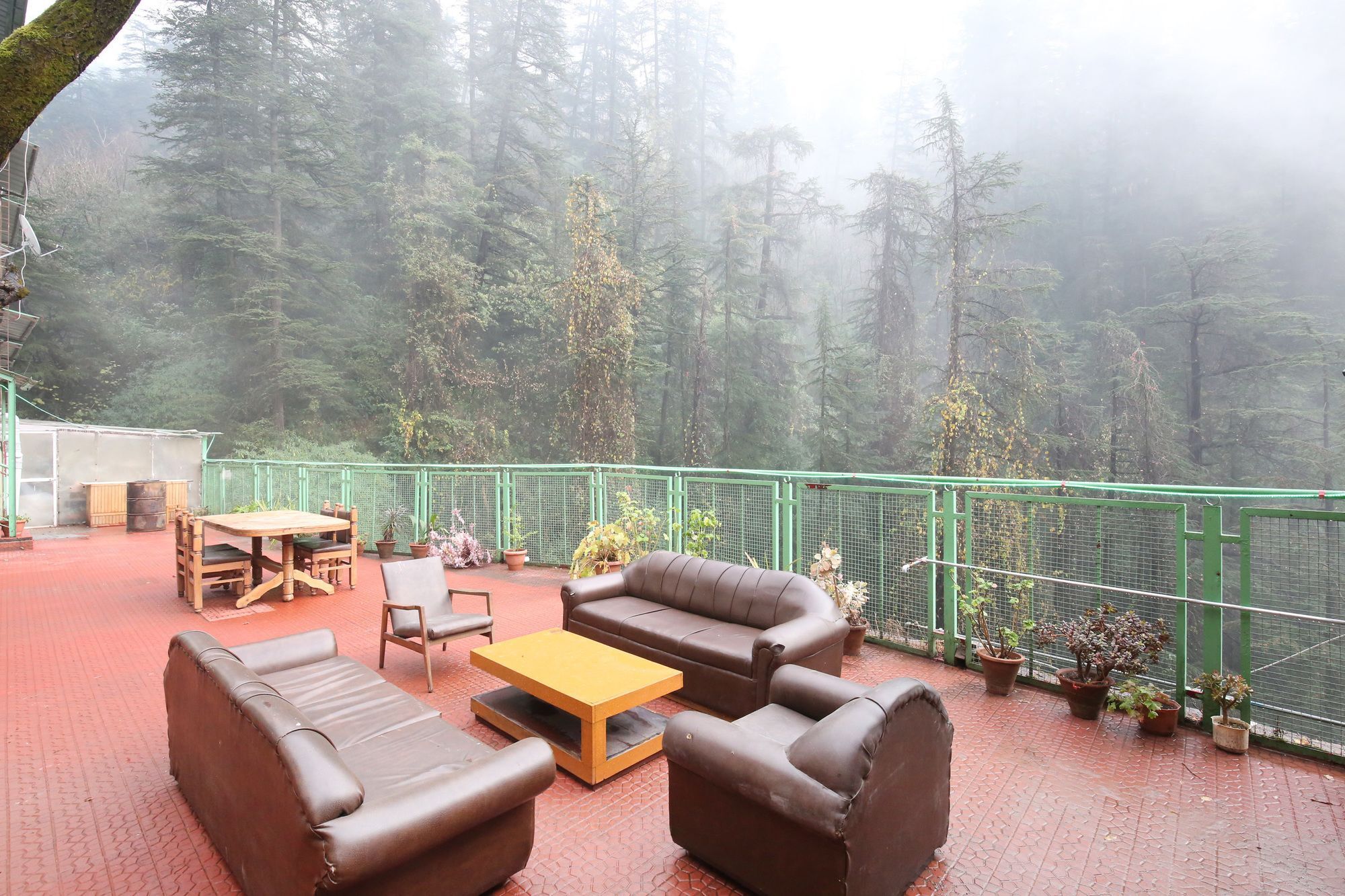 Hotel Oyo 10904 Sunny Woods Khalini 2*