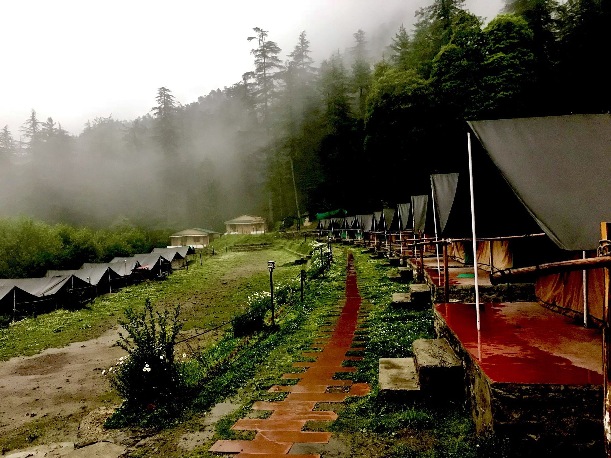 Mashobra Greens Shimla