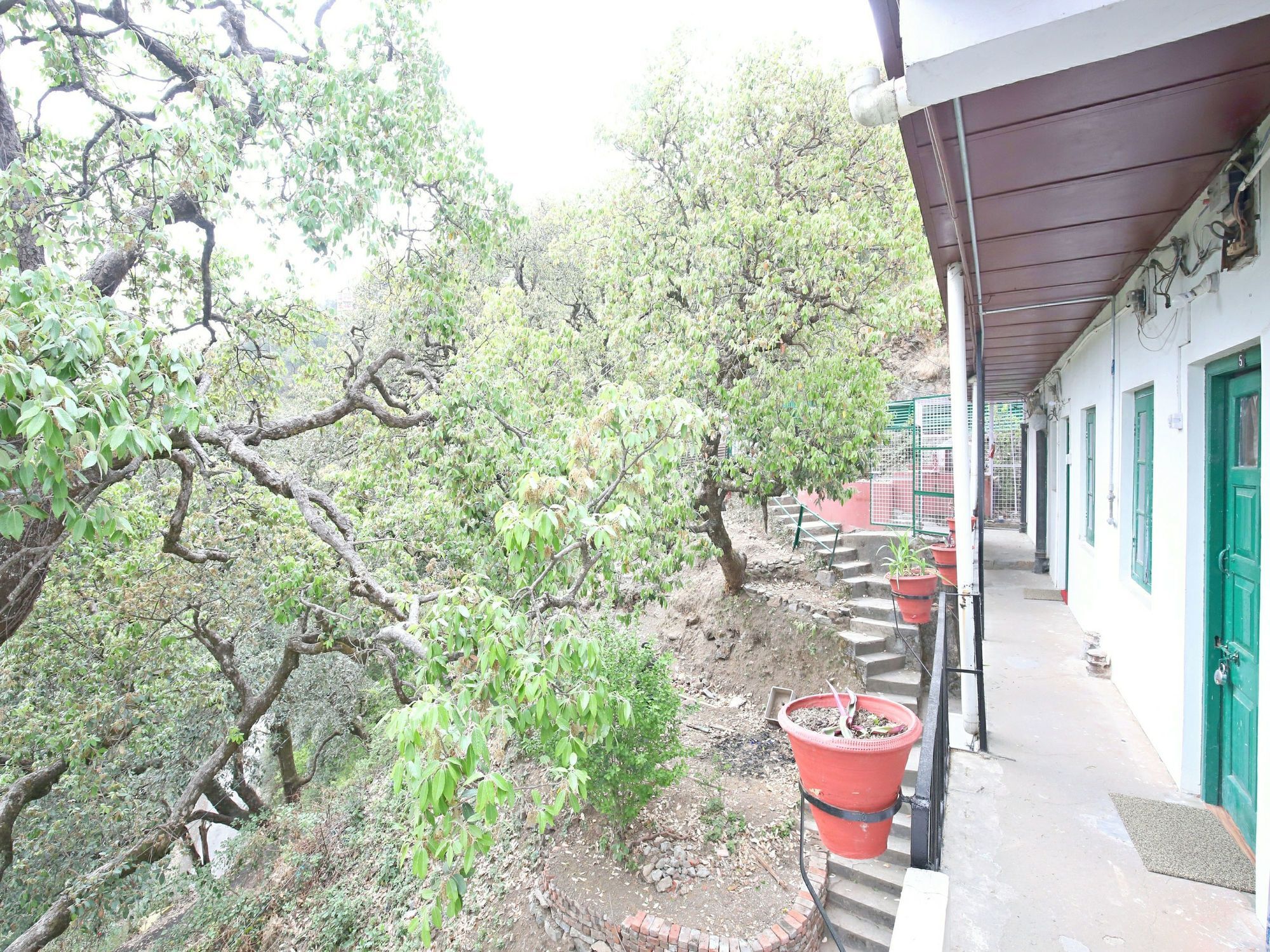 Hotel Oyo 13645 Ever Sunny