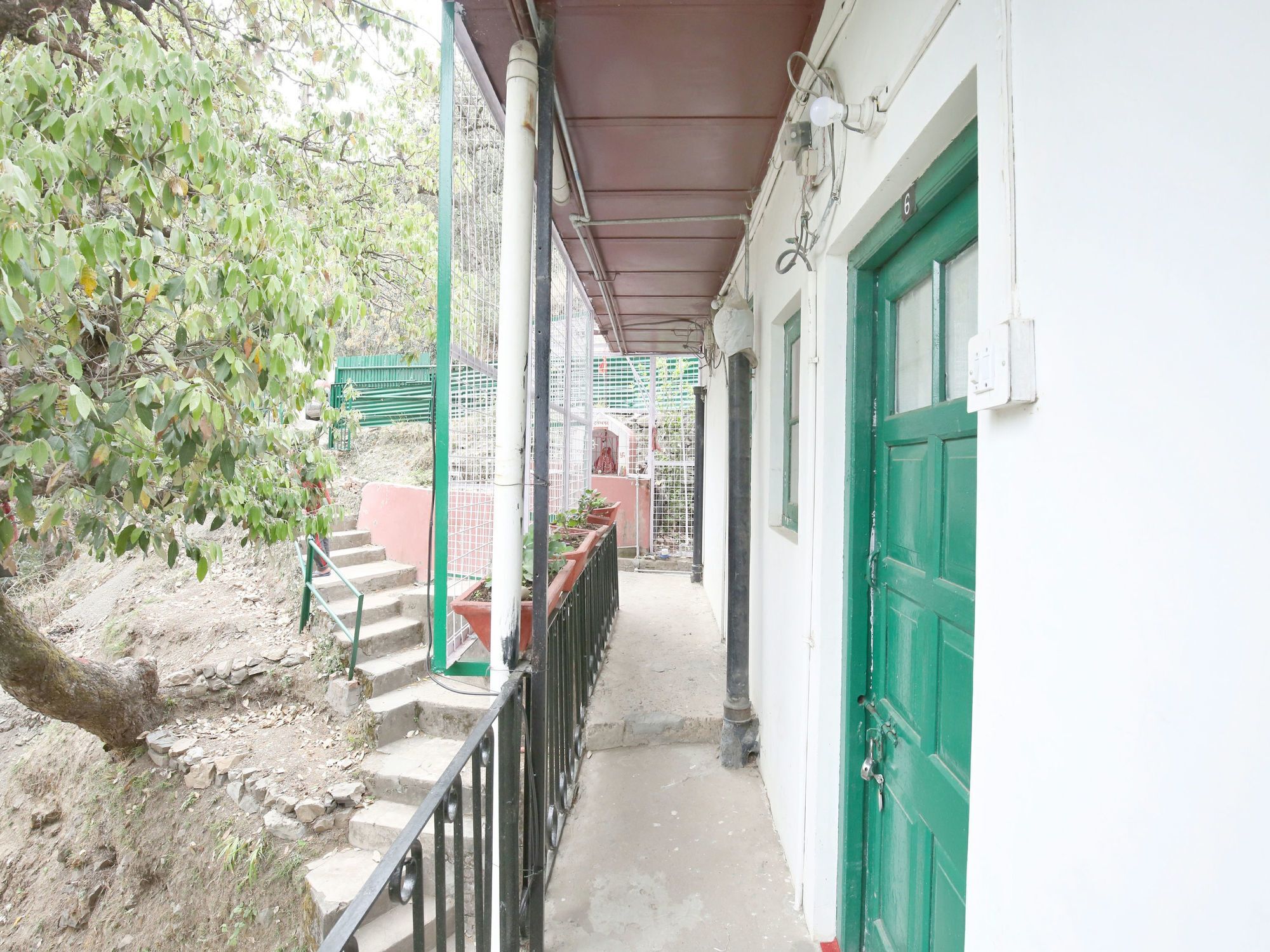 Oyo 13645 Ever Sunny Shimla