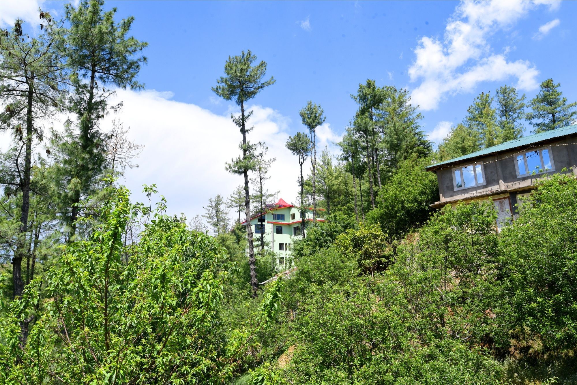 Aachman Nature Valley 3*