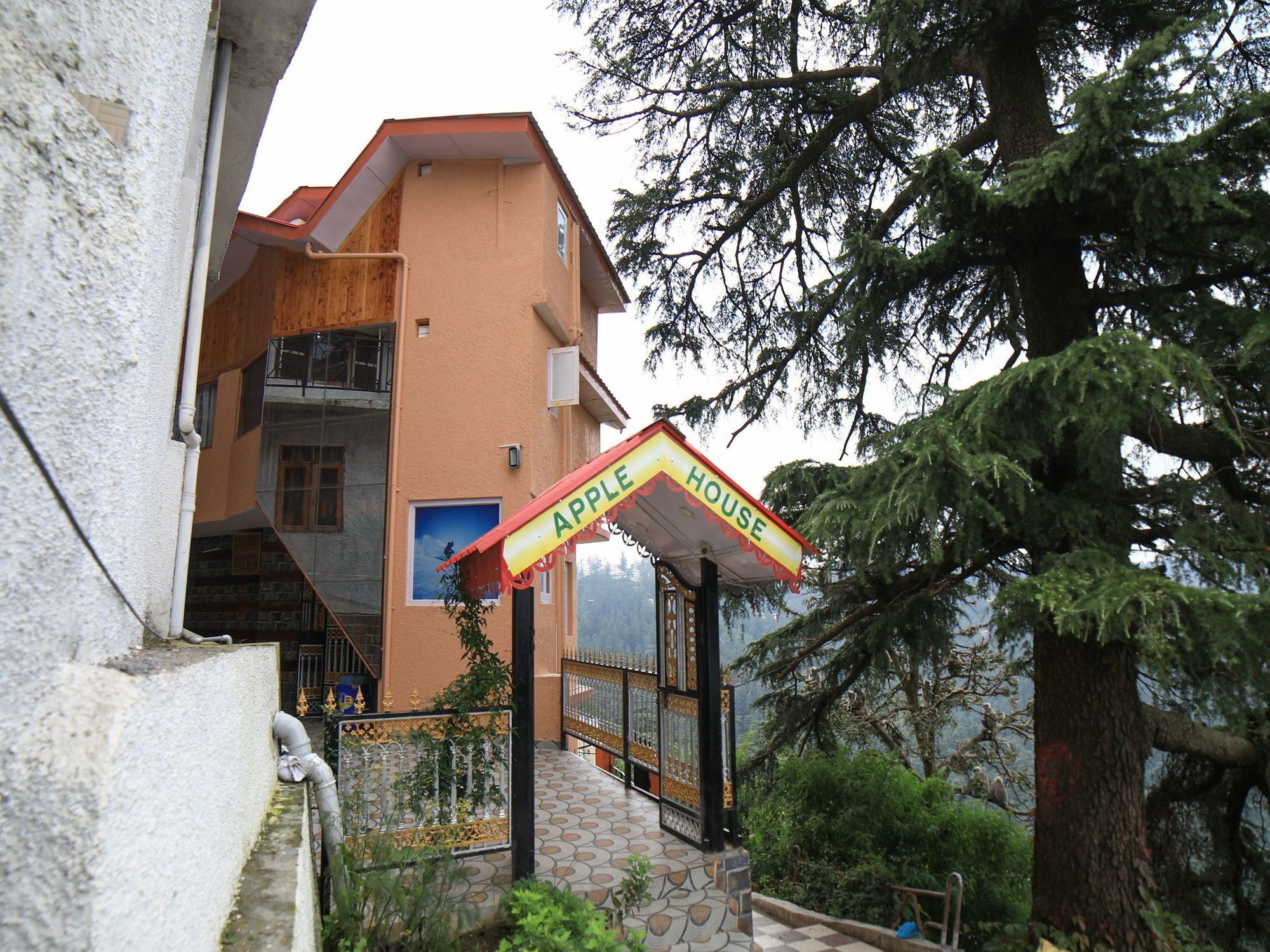 Oyo 17002 Apple House Shimla