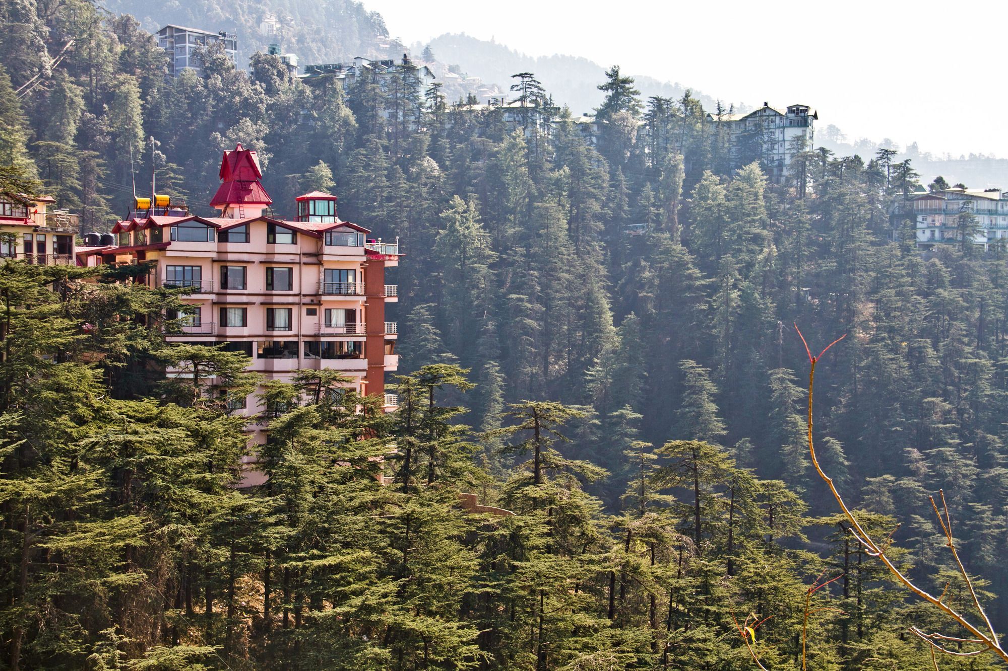 Oyo Premium 148 The Bodhi Tree Hotel Shimla