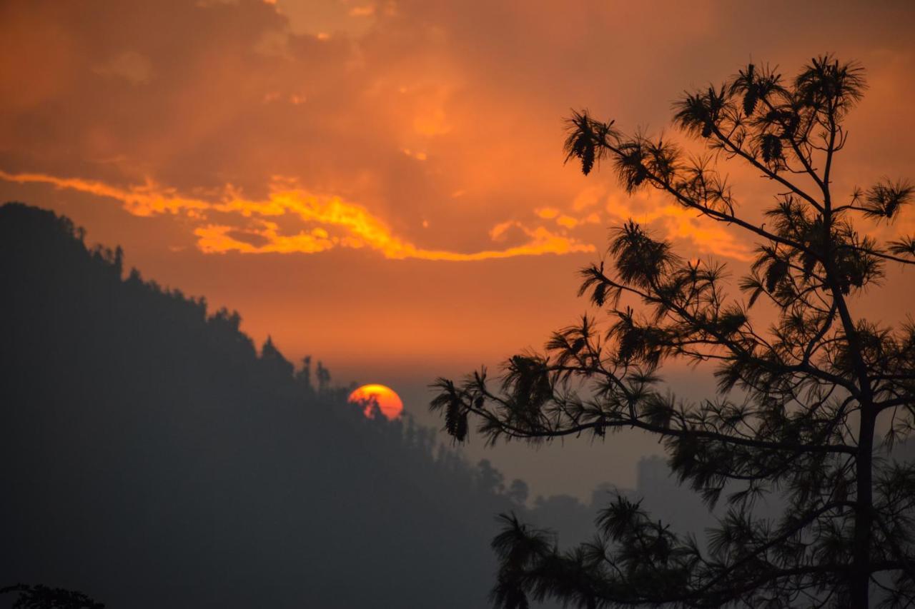 Aachman Nature Valley Resort, Mashobra Shimla