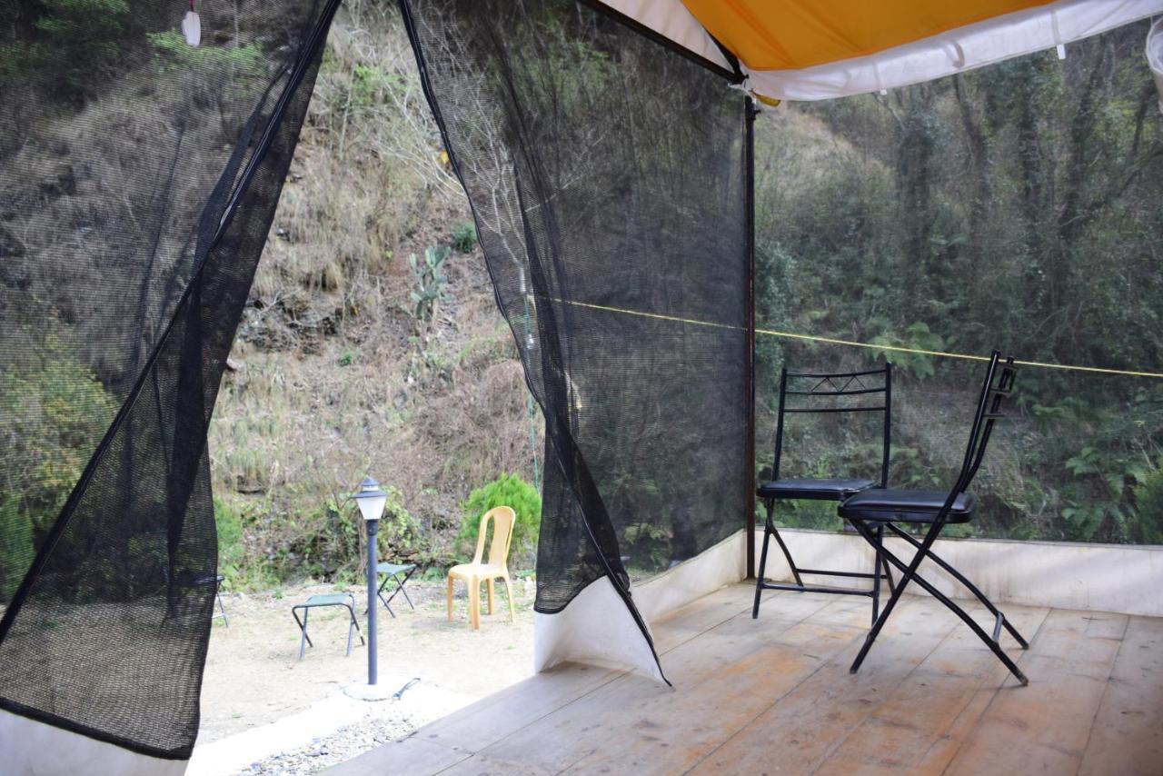 Green Caravan Camps * Shimla