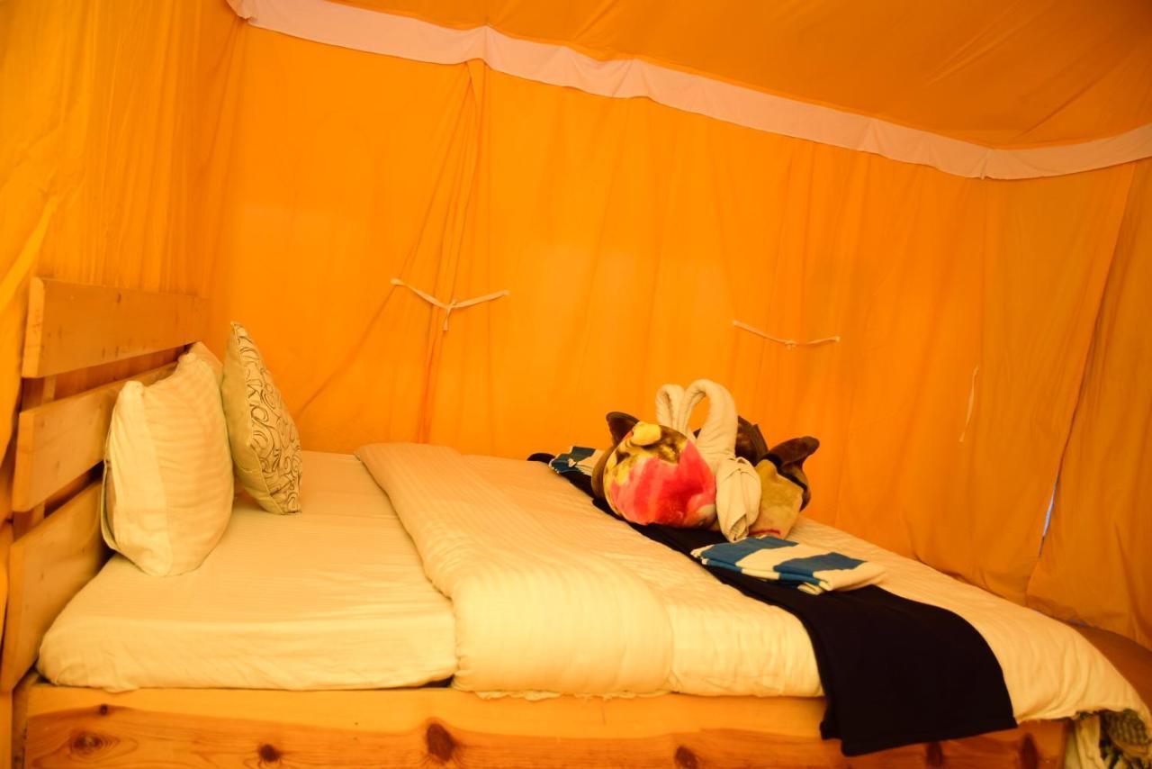 Green Caravan Camps Luxury tent *