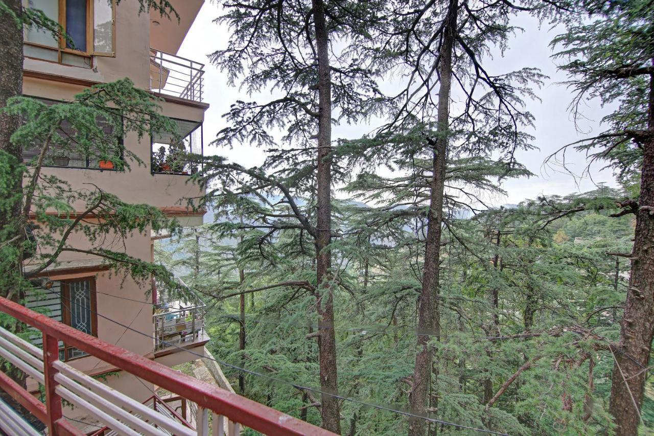 Whistling Pines 2bhk In Apartment *