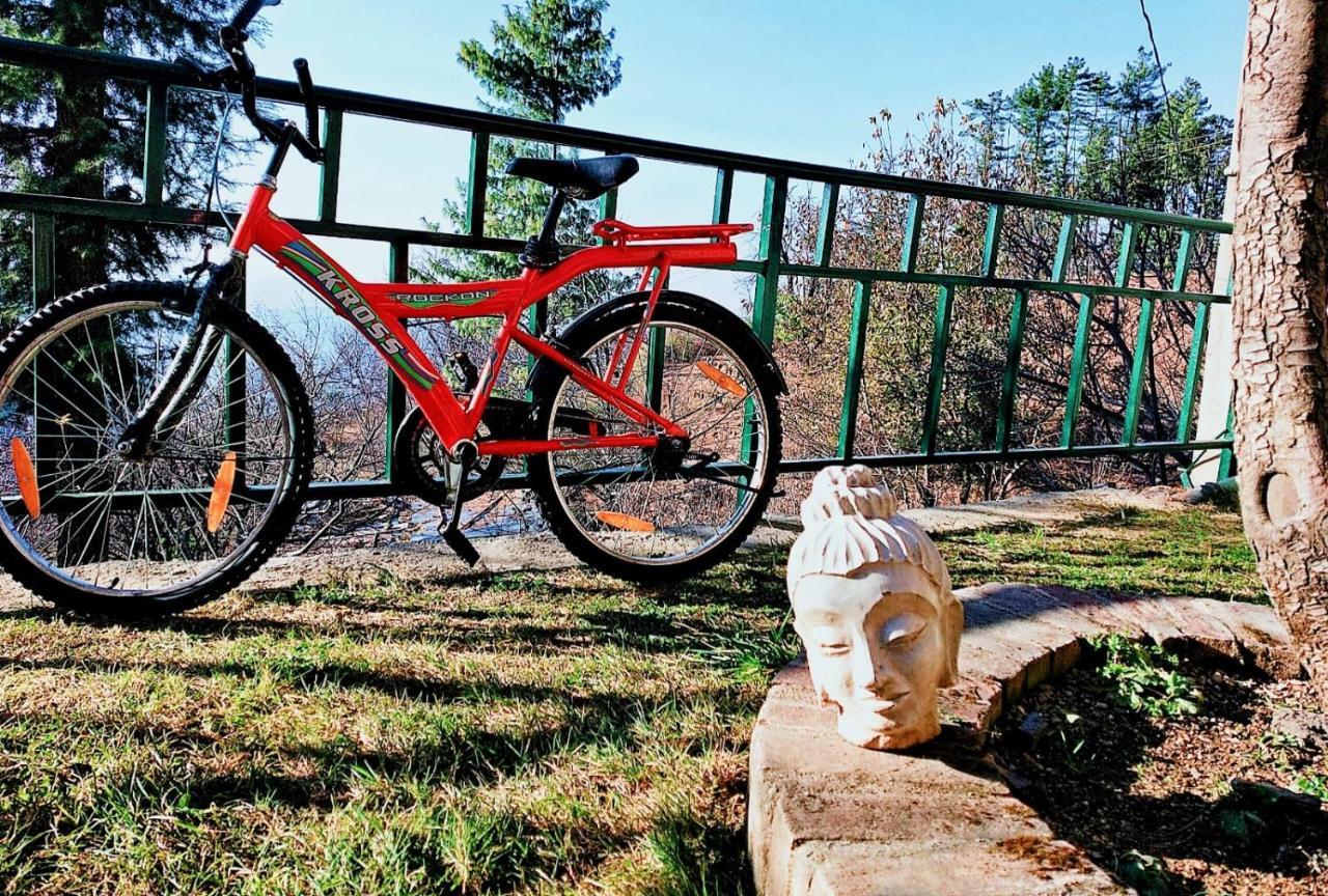 Merlin Grove Shimla