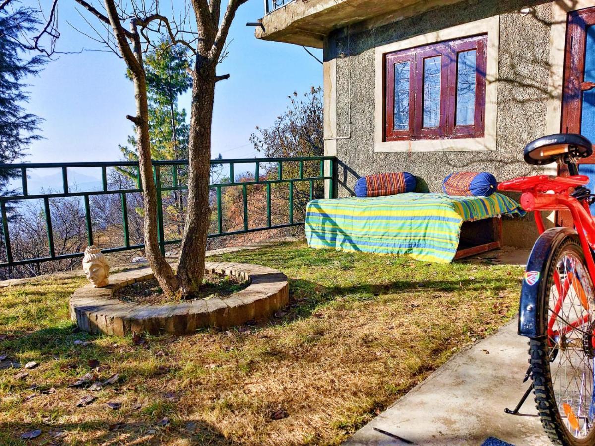 Merlin Grove * Shimla