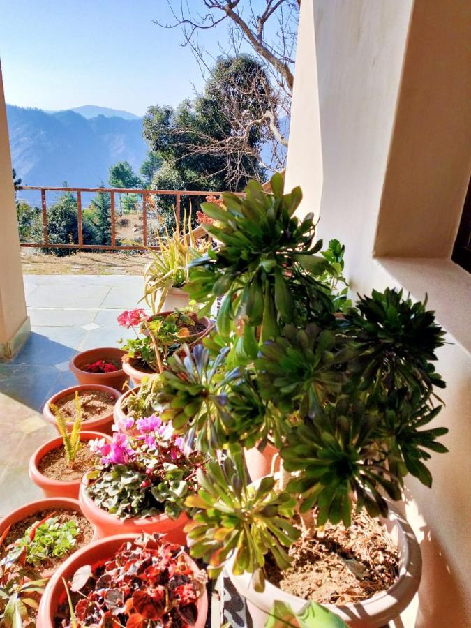 Apartment Merlin Grove Shimla