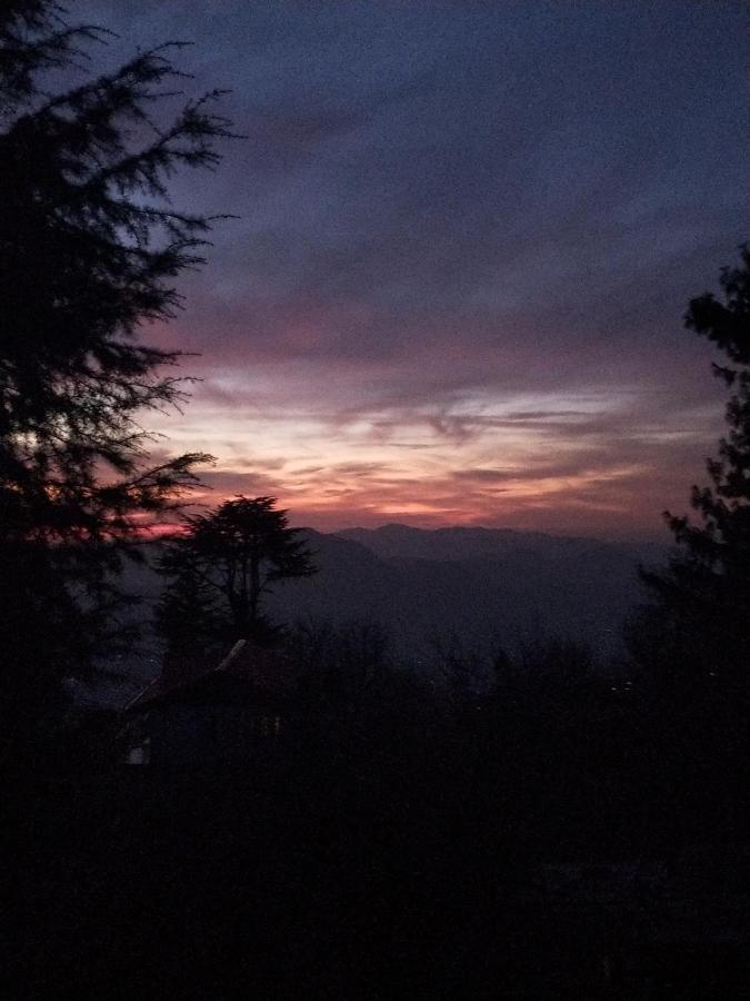 Merlin Grove * Shimla