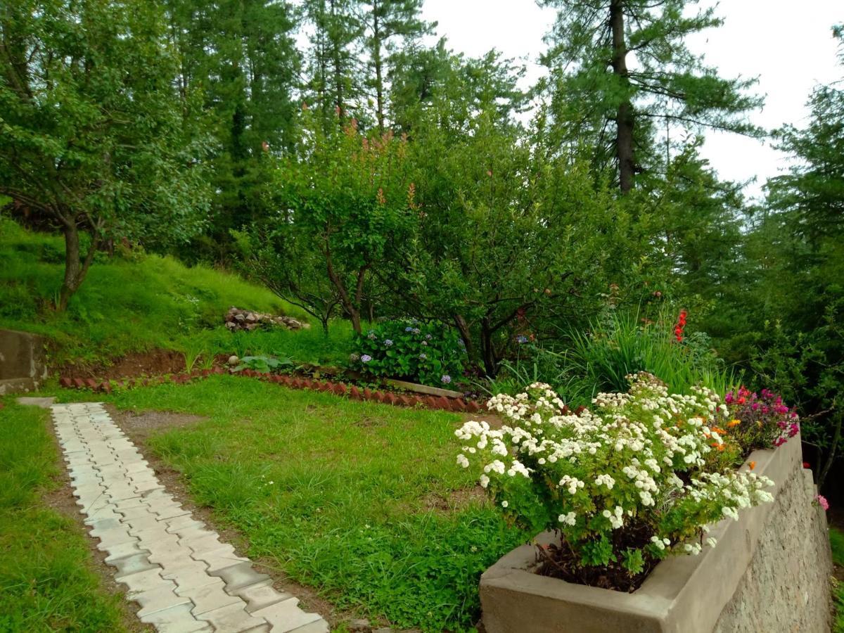 Merlin Grove Apartment Shimla