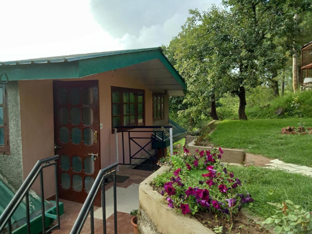 Merlin Grove Apartment Shimla