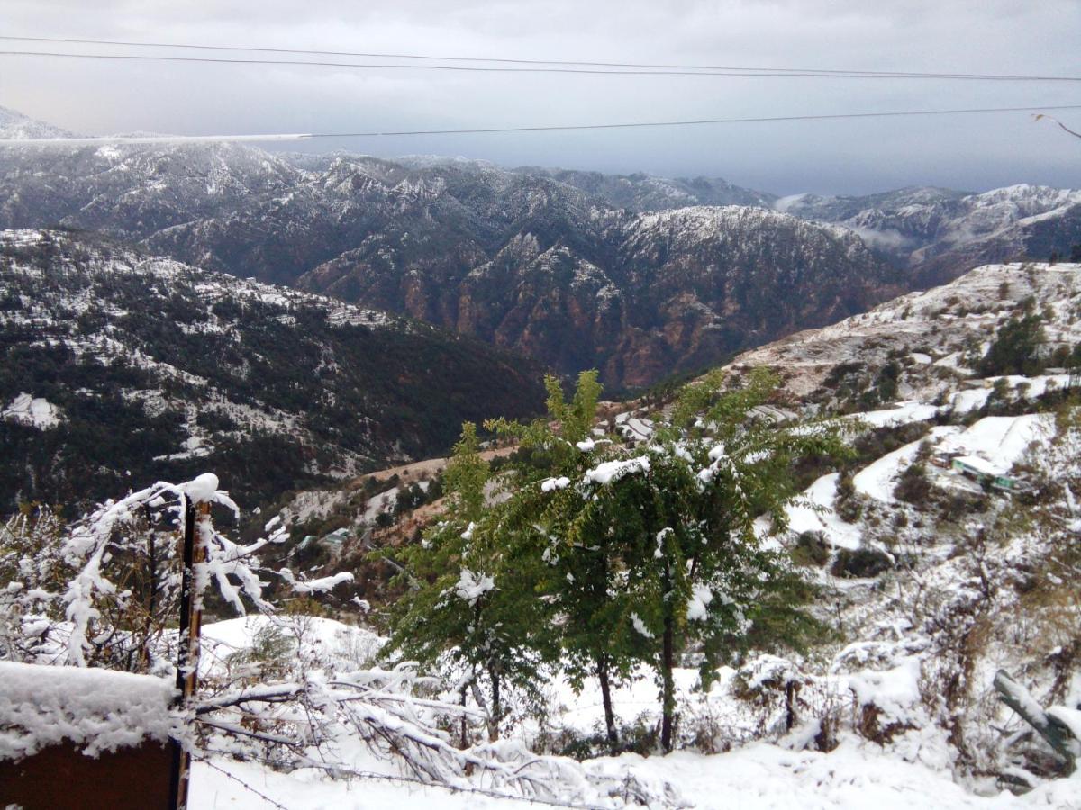 The Naldehra Resort