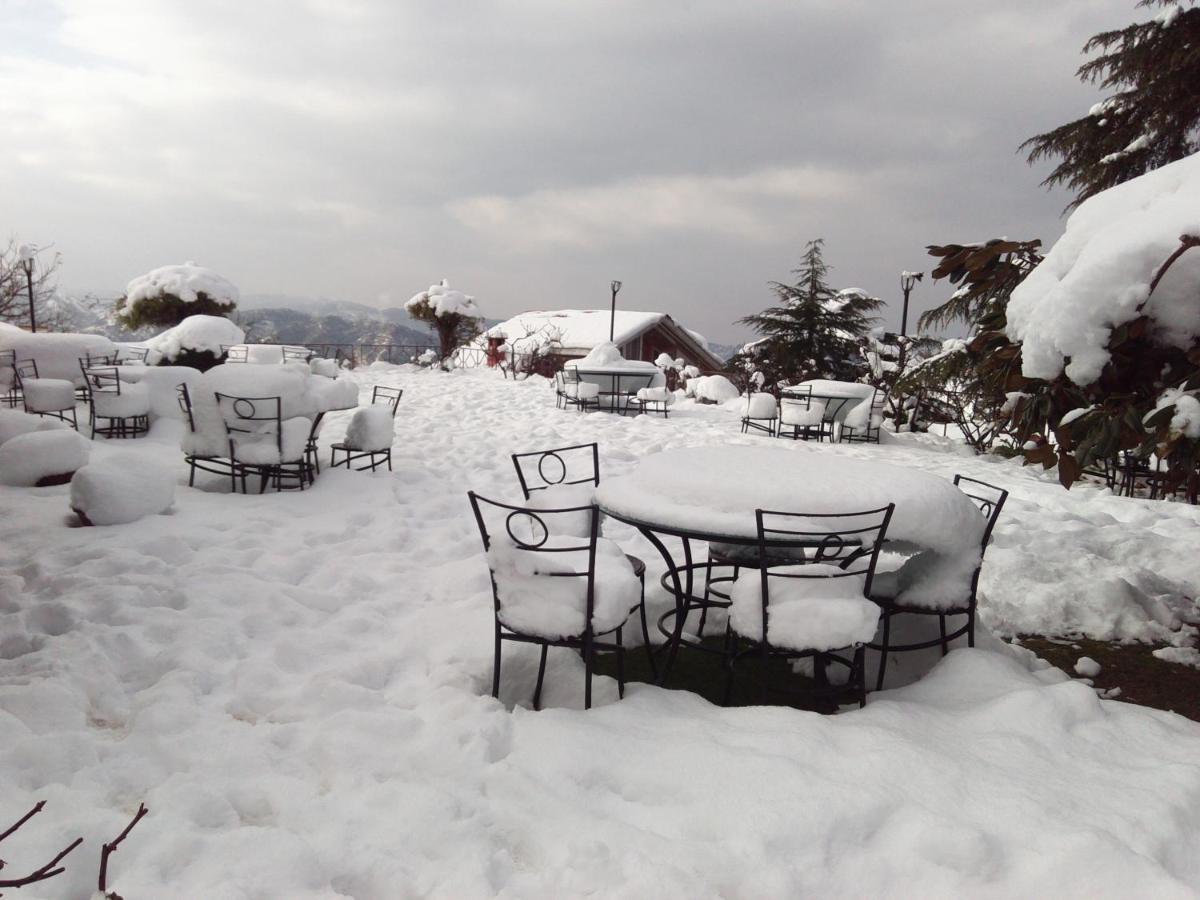 The Naldehra Resort Shimla