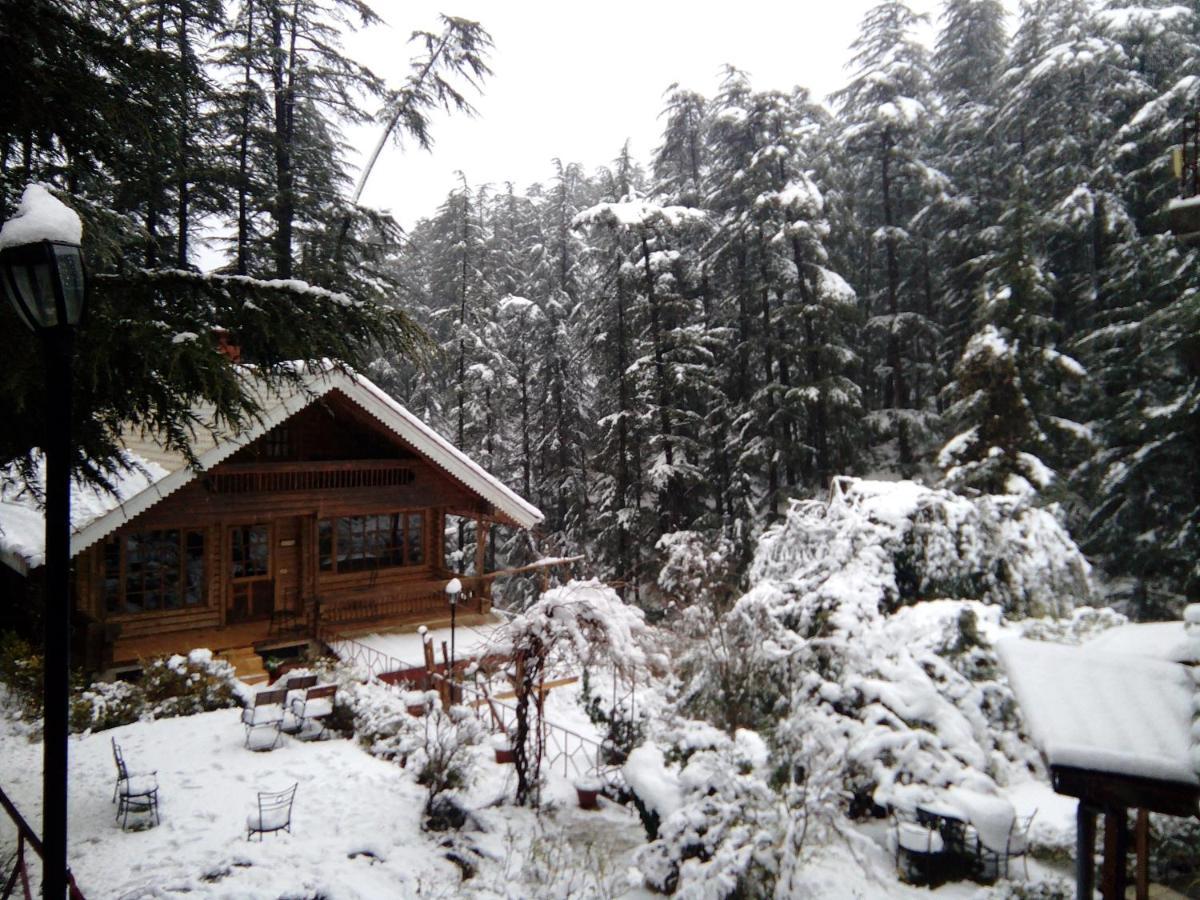 Resort The Naldehra