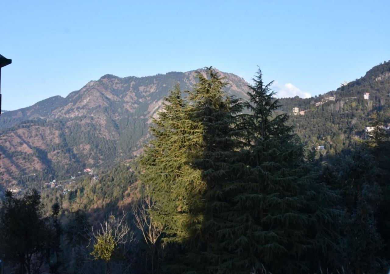 Hotel Whistling Alpines Shimla