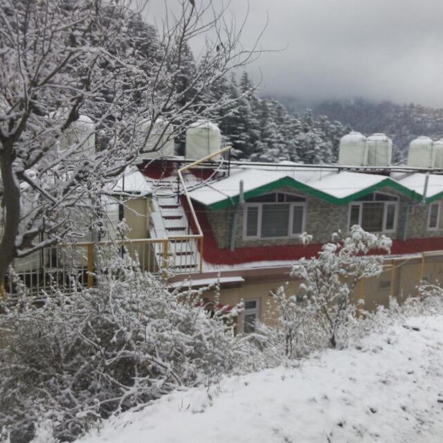 Kavya Homestay * Shimla
